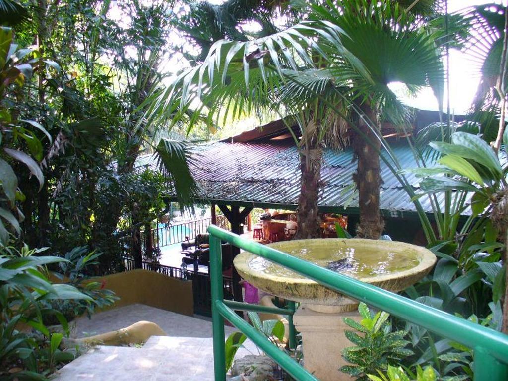 Jungle Villa 曼努埃尔安东尼奥 外观 照片