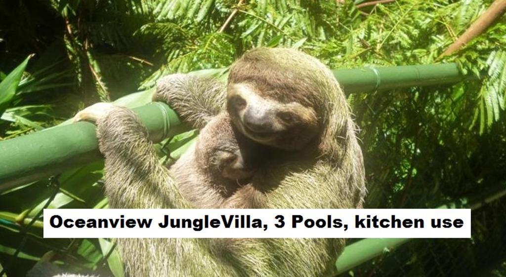 Jungle Villa 曼努埃尔安东尼奥 外观 照片
